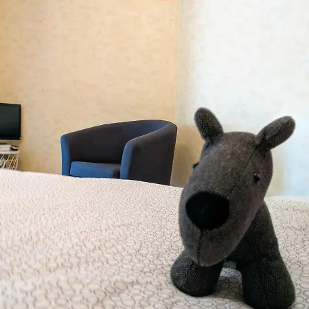Studio Calme Et Confortable Proche De Saint-chamond * L'Horme
